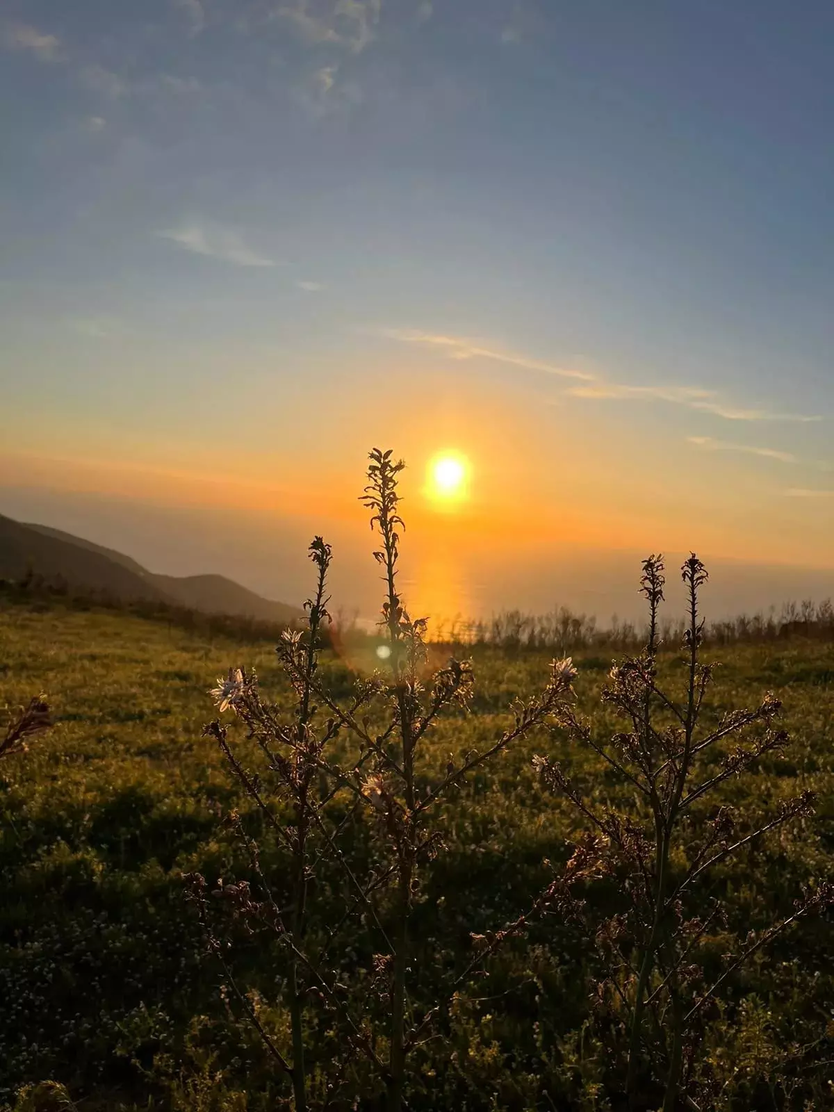 formule couché de soleil